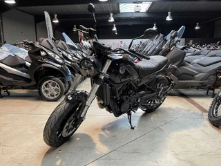 Benelli Leoncino