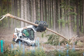 Bobcat T590